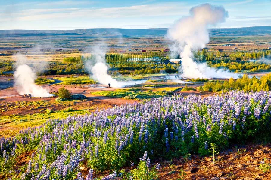 geysir