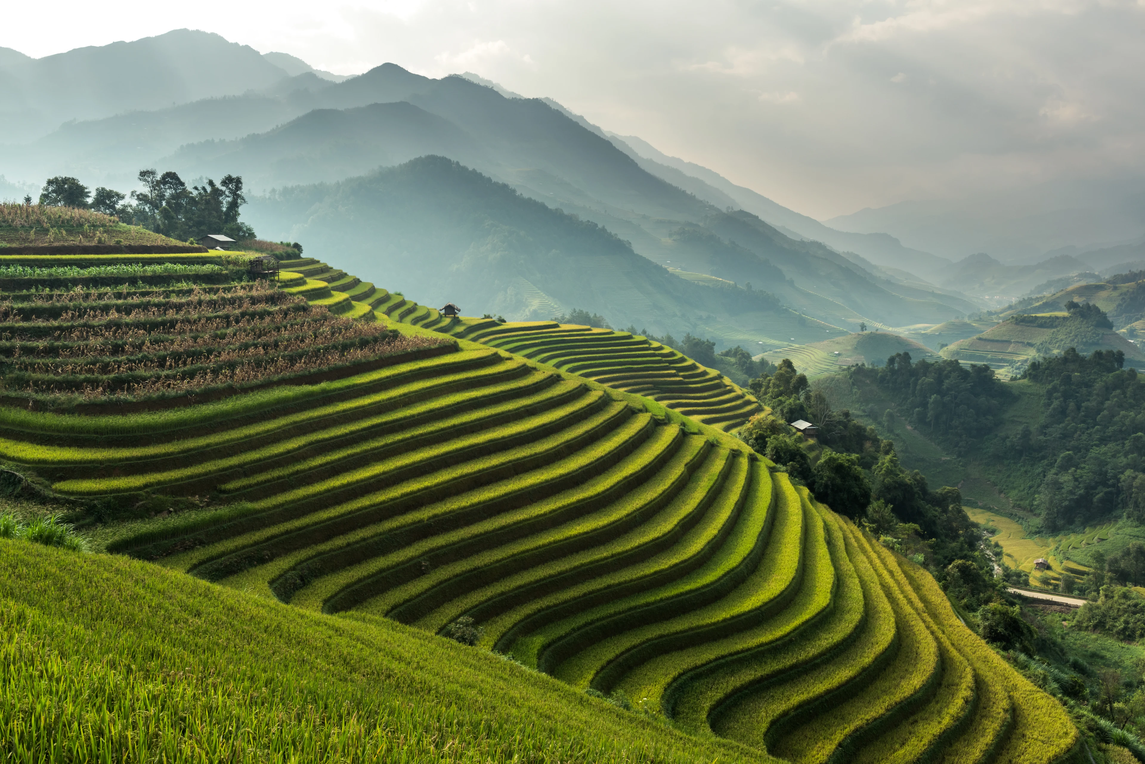 Vietnam-GettyImages-611609802