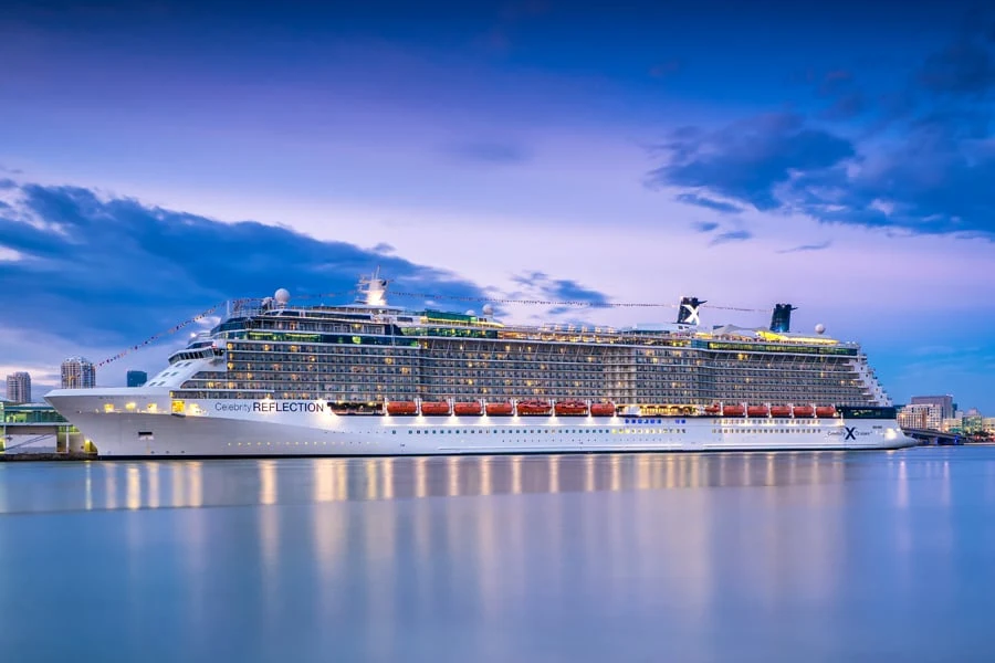Celebrity-Reflection