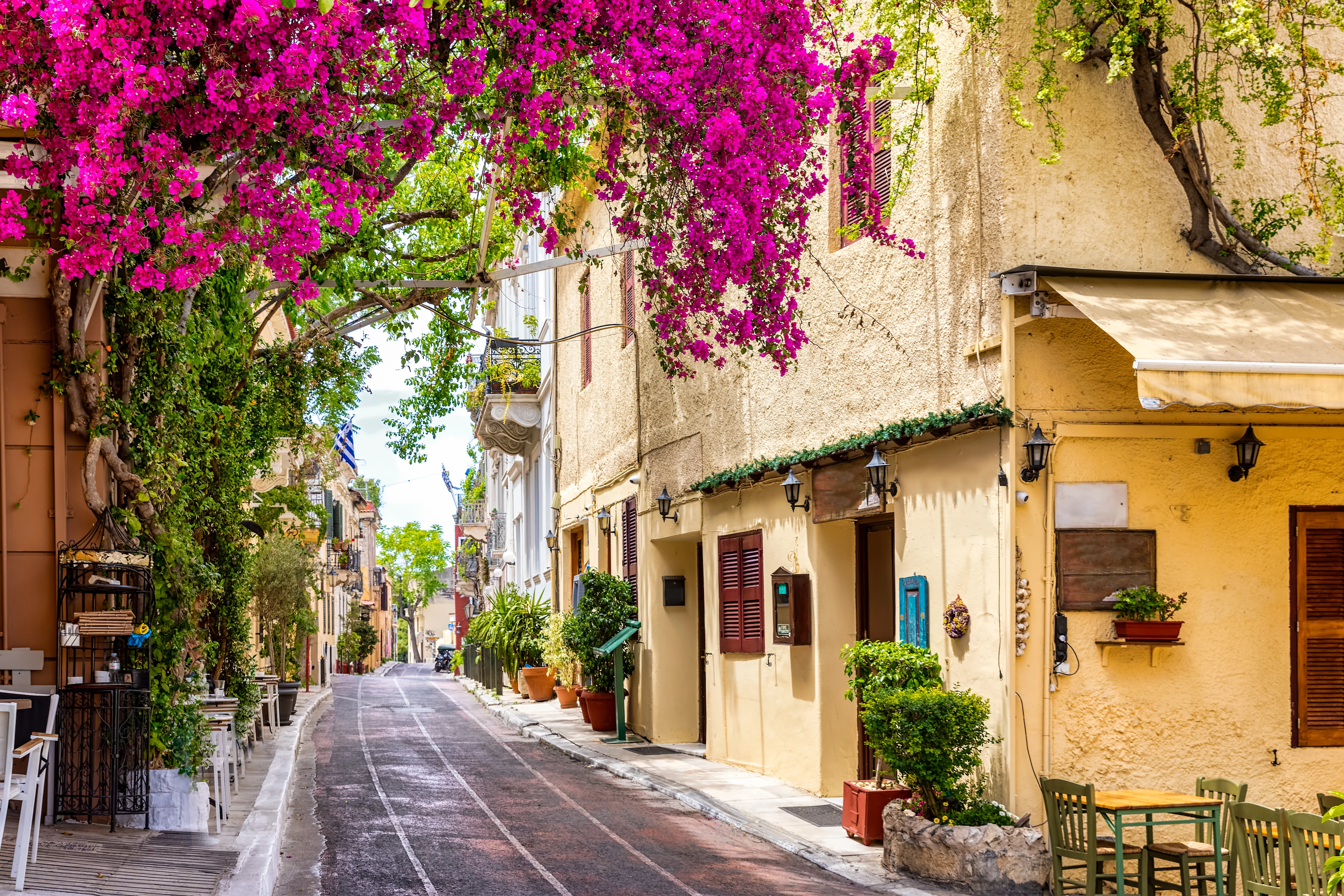 Charmig gata med rosa blommor i Plaka, Aten