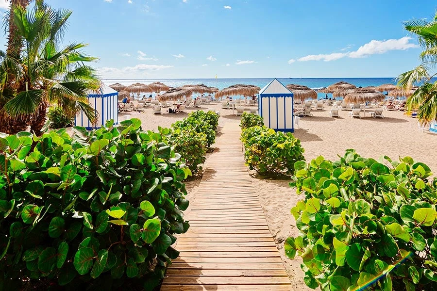 Solstolar på en strand i Teneriffa