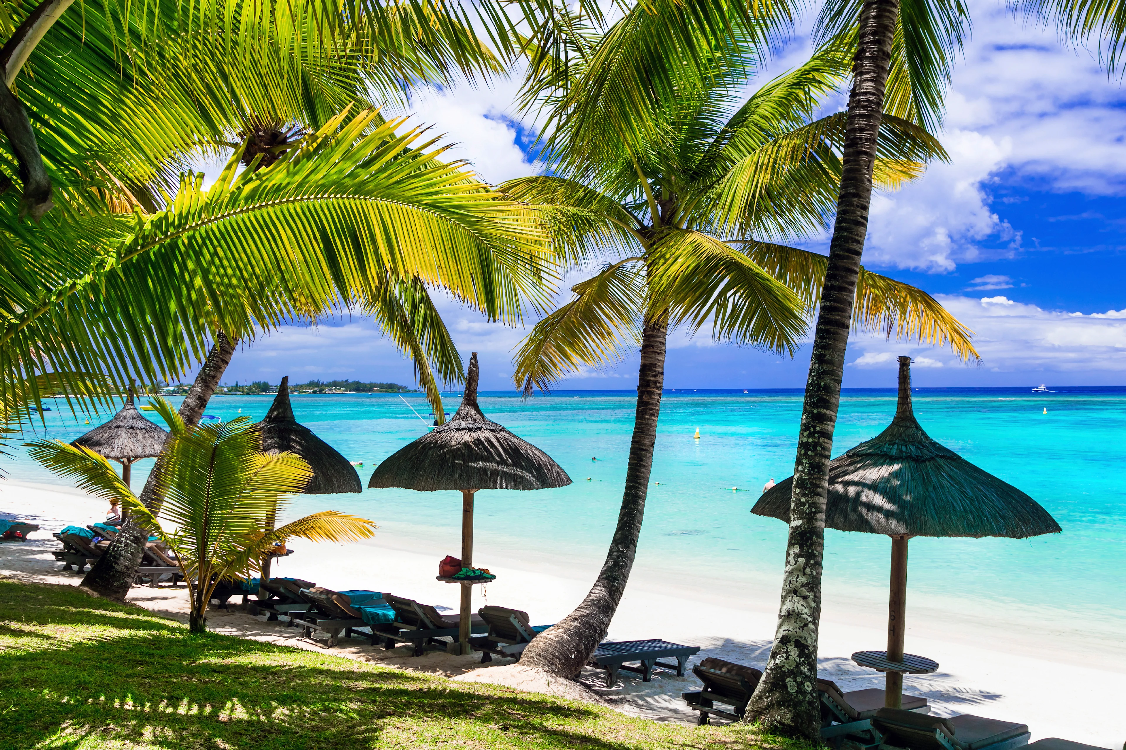 En tropisk strand med palmer och halmparasoll på Mauritius