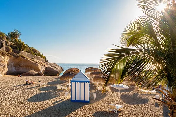 Prachtig strand met palmbomen in Tenerife