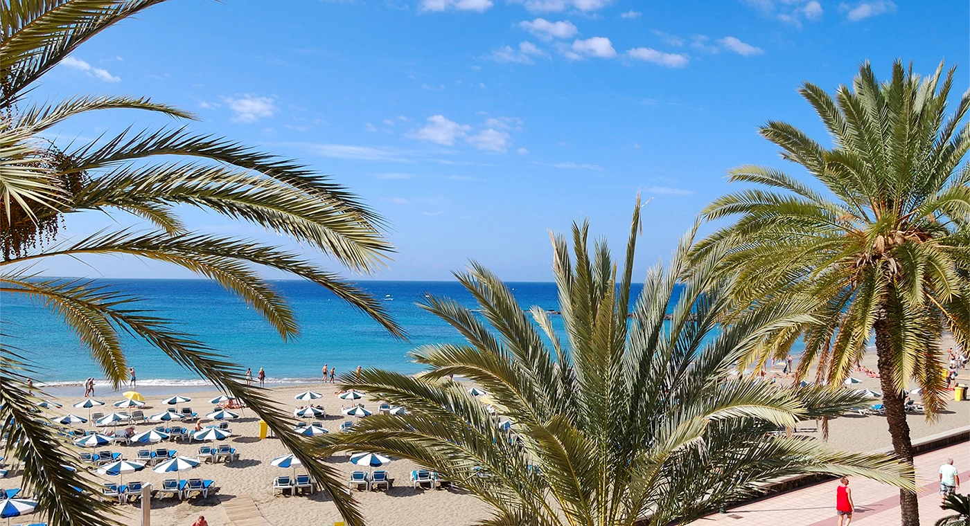 Beach with palms