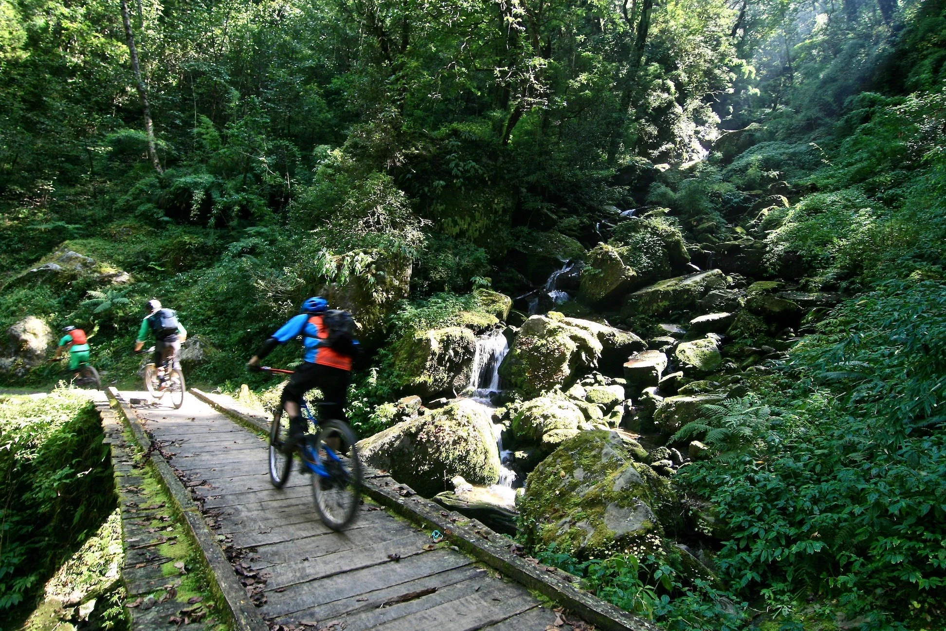 Cyklistgrupp som färdas över en träbro genom en tät, grön skog med små vattenfall och mossiga stenblock bredvid stigen