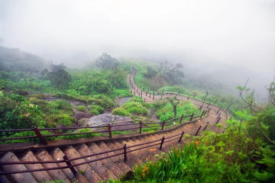 Adams-Peak-Trappor