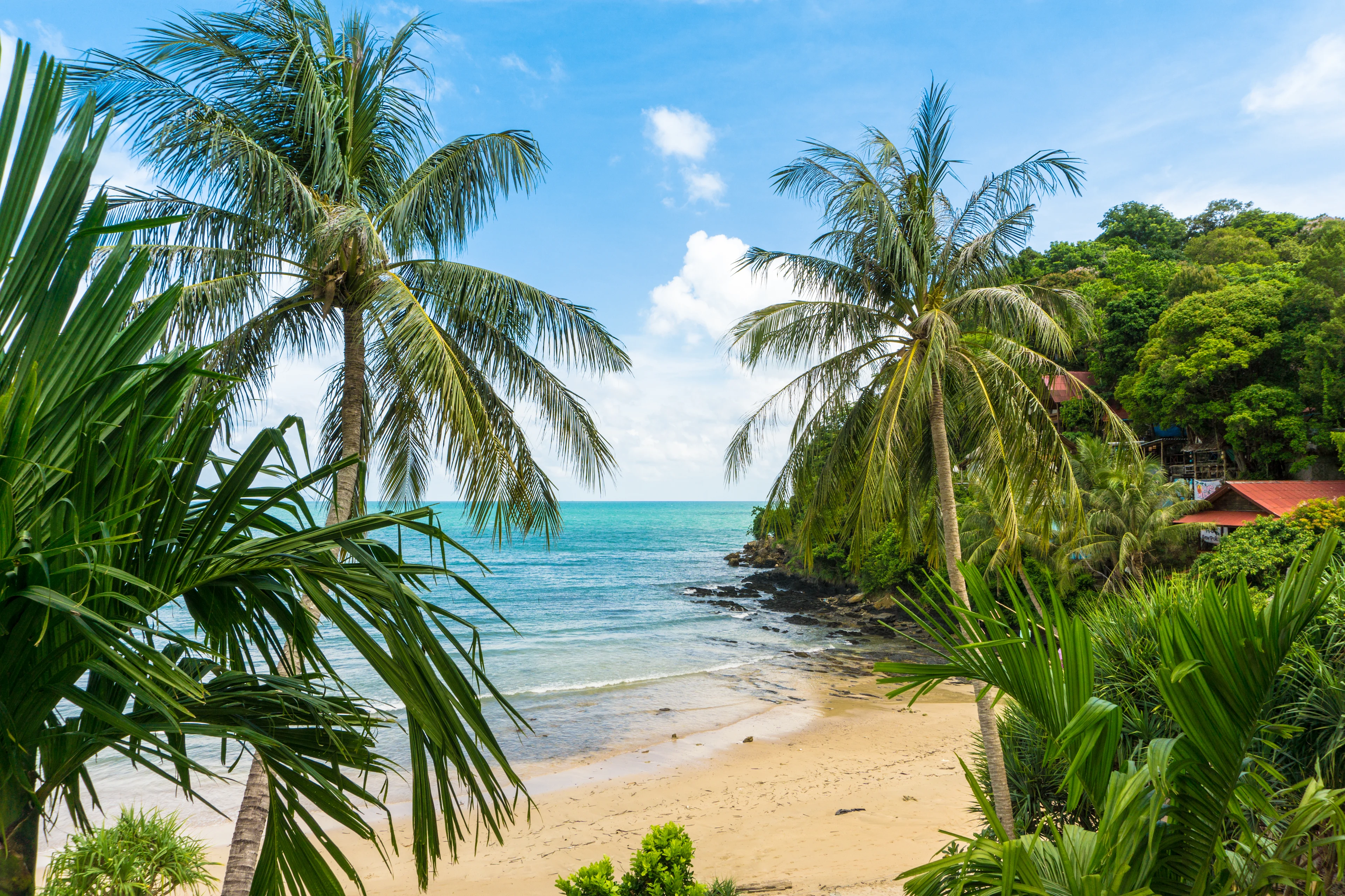 Kantiang Bay på Koh Lanta med ljus sandstrand, turkost hav omgiven av palmer.