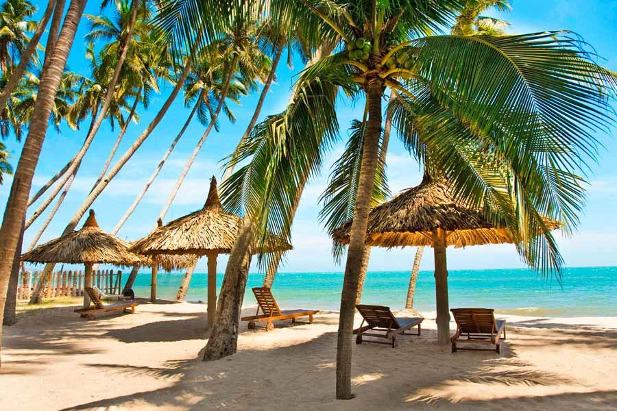 Een zonnig strand met rieten daken, ligstoelen en wuivende palmbomen aan de turquoise zee.