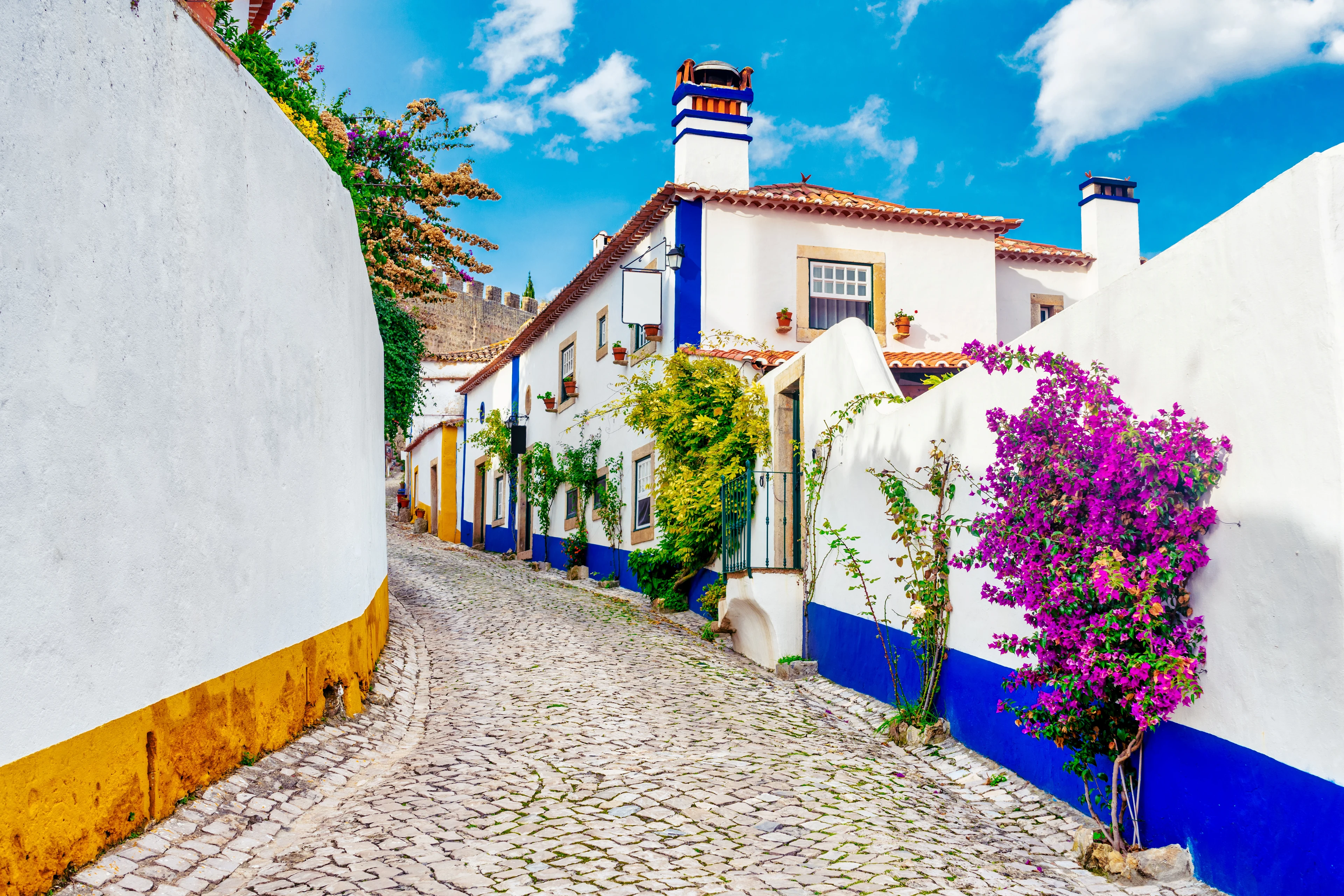 Vitkalkade hus med färgglada blommor i pittoreska Obidos, Portugal