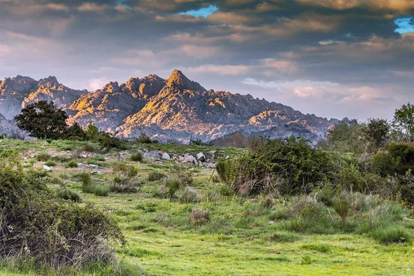 berg landskap