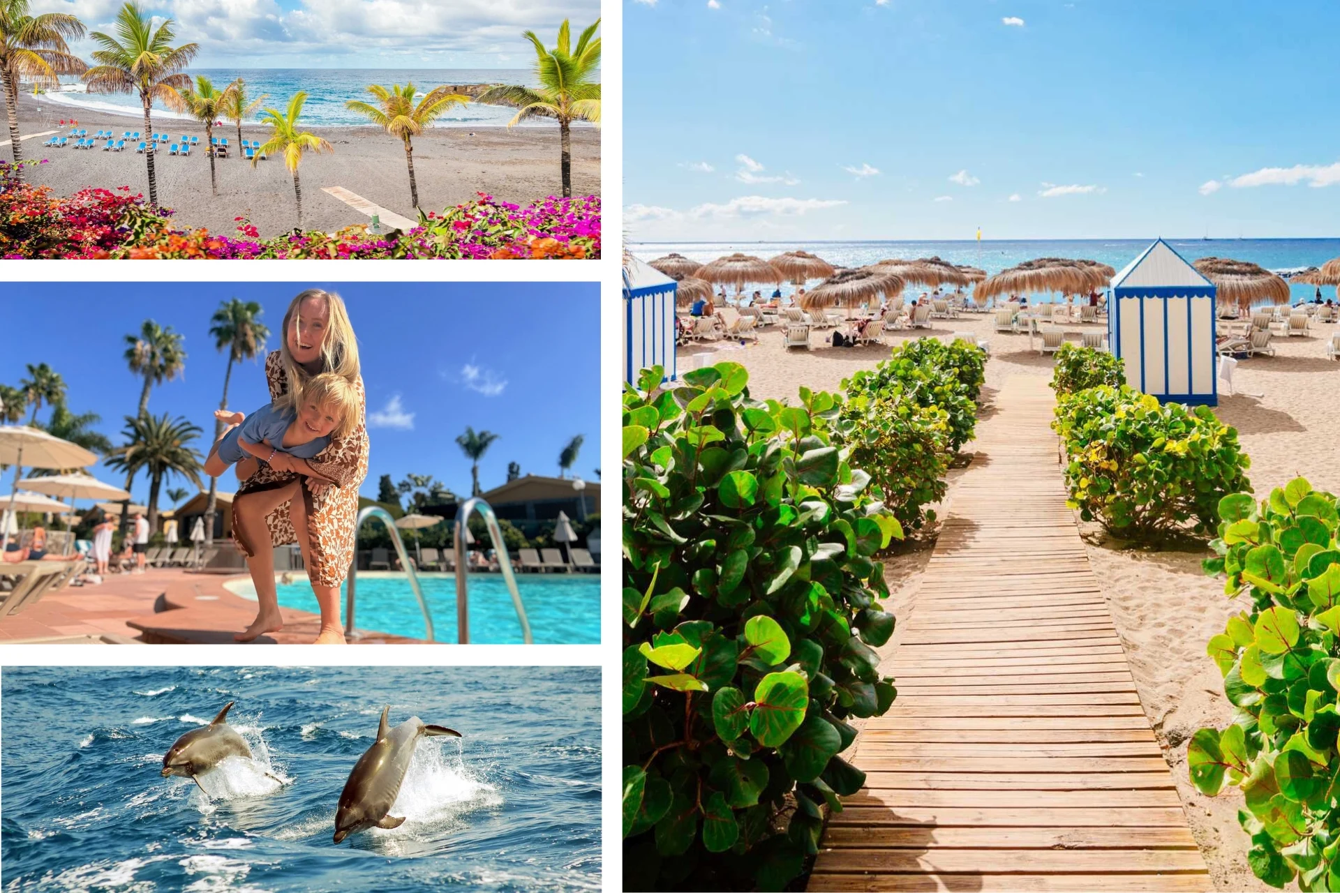 Bildekollasj med en solrik sandstrand med palmer, en strandsti med parasoller, et barn og en voksen ved et basseng og to delfiner som hopper i havet.