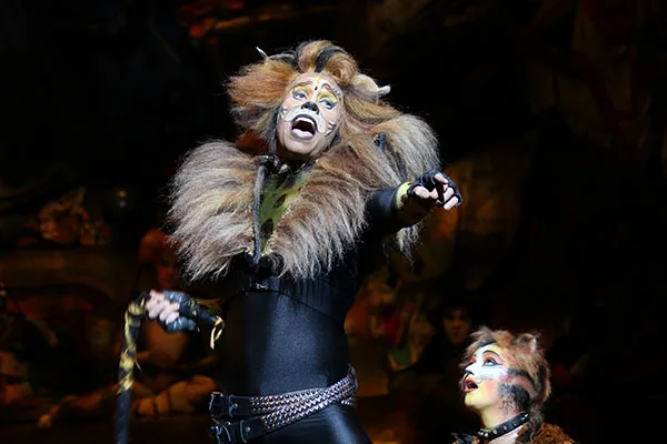 Cats musikal