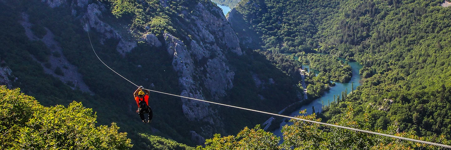 ZiplineOmnis