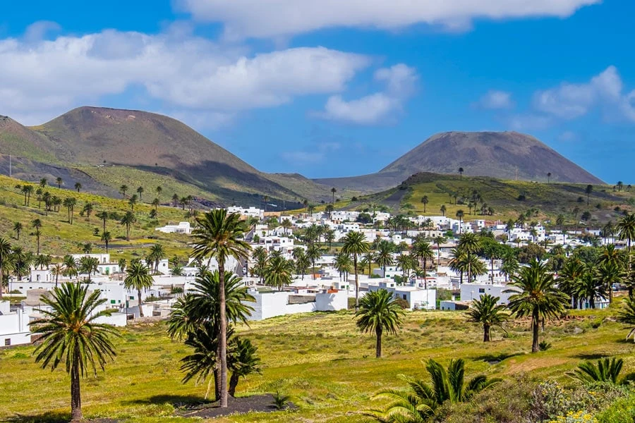 kanaries lanzarote haria