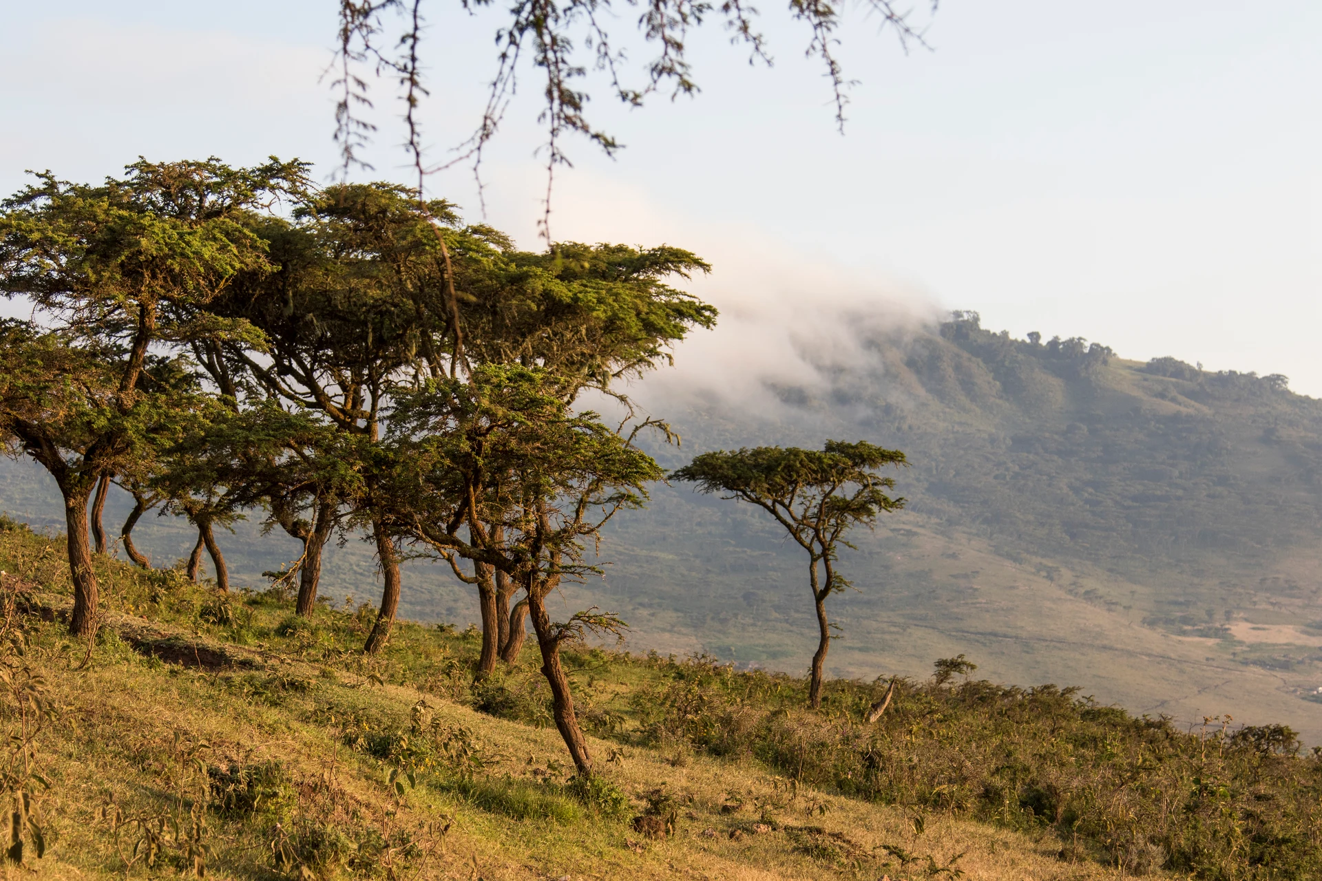 Utsikt över vackert landskap i Tanzania