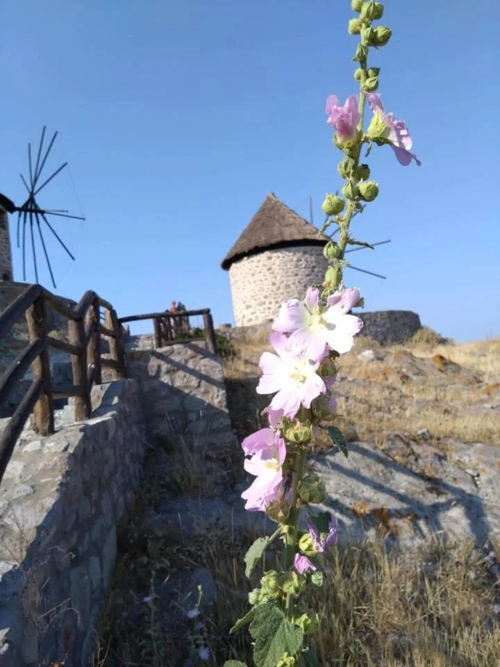 Limnos Grekland, 2025 fotat av Claudia Kerttu