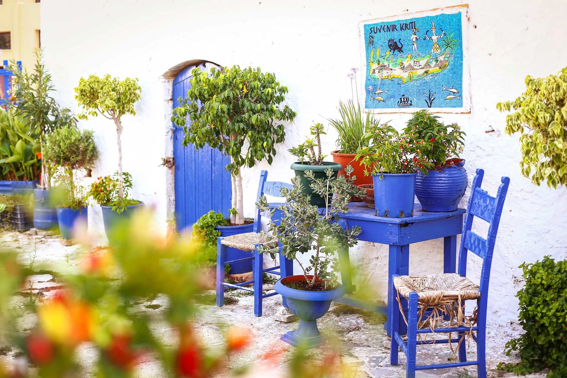 Uteplass med hvit vegg, blå dør og blått bord og stoler, omgitt av mange grønne planter i fargerike potter.