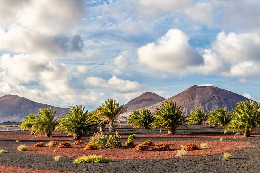 De aard van Lanzarote