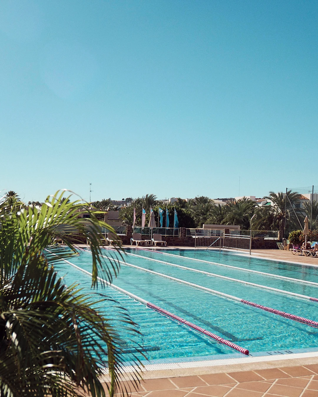 Pool med gröna blad i förgrunden