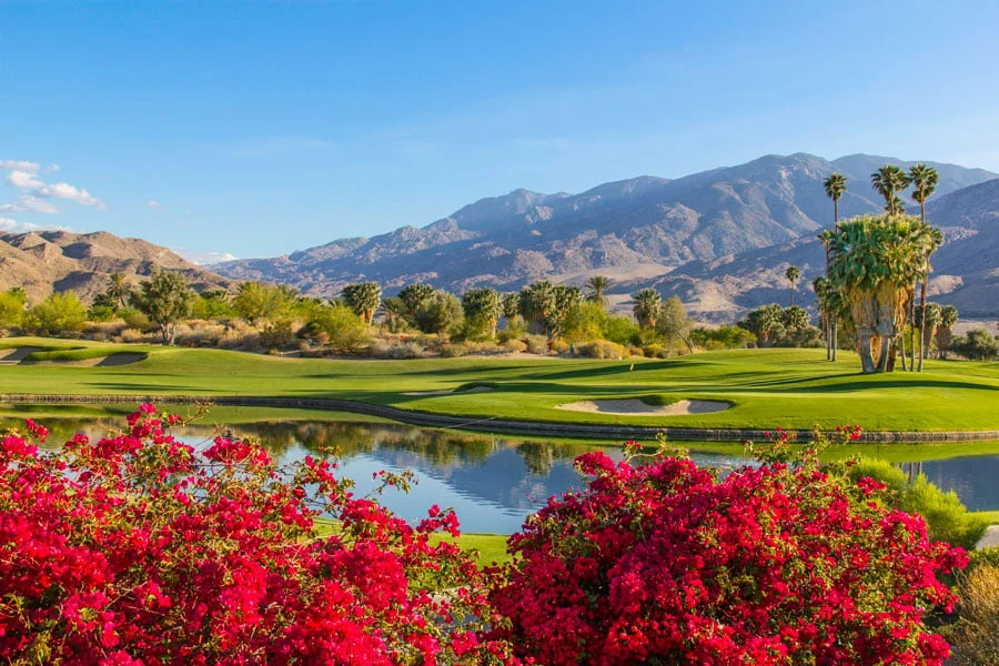 Vakker golfbane med blomster og vakre omgivelser i USA