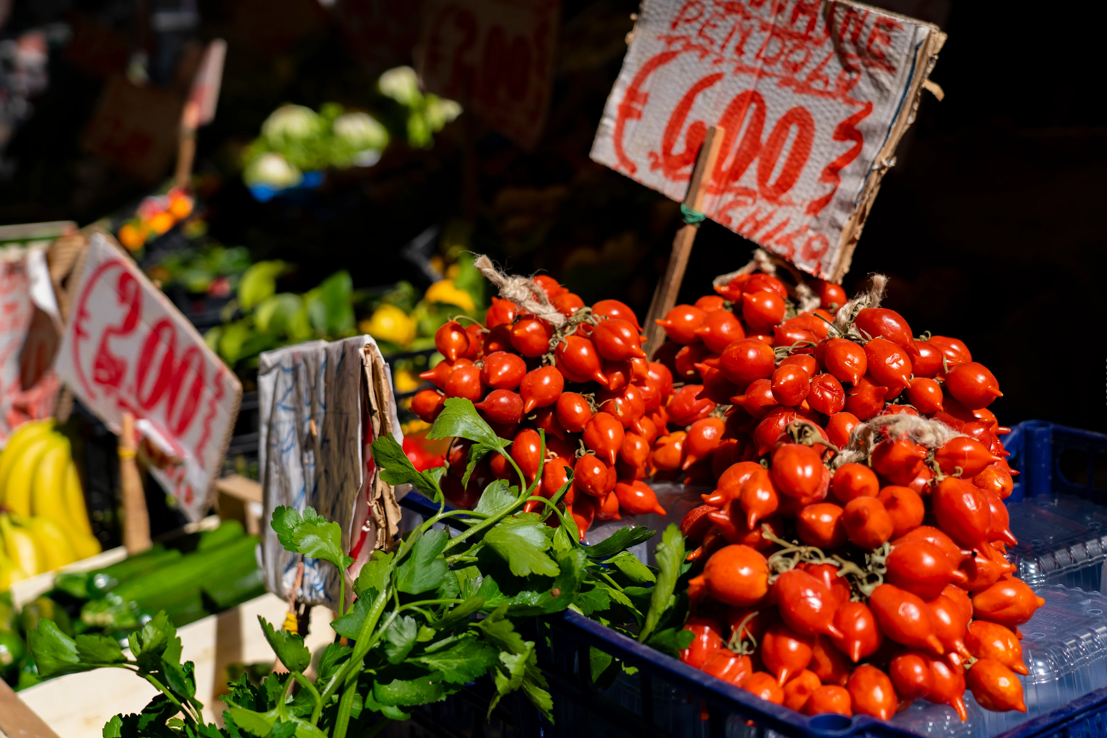 närbild på grönsaker