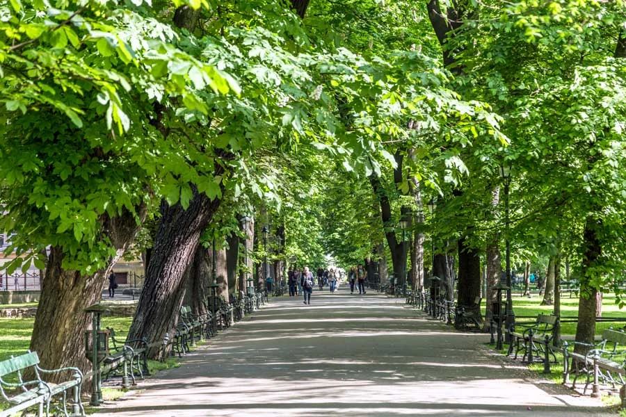 Park Planty i Krakow