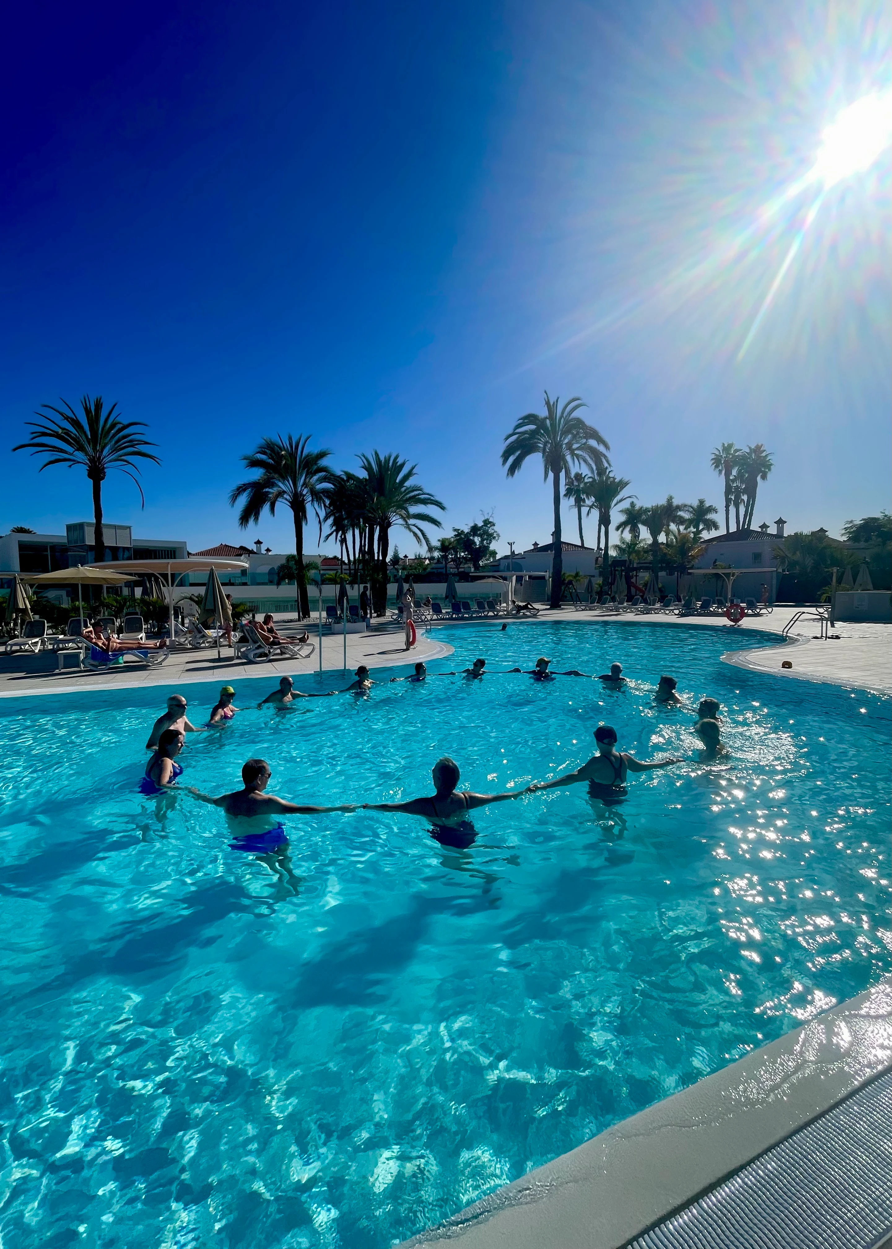 En gruppe mennesker som holder hender og danner en sirkel i et svømmebasseng kantet med palmer mens solen skinner fra skyfri himmel.