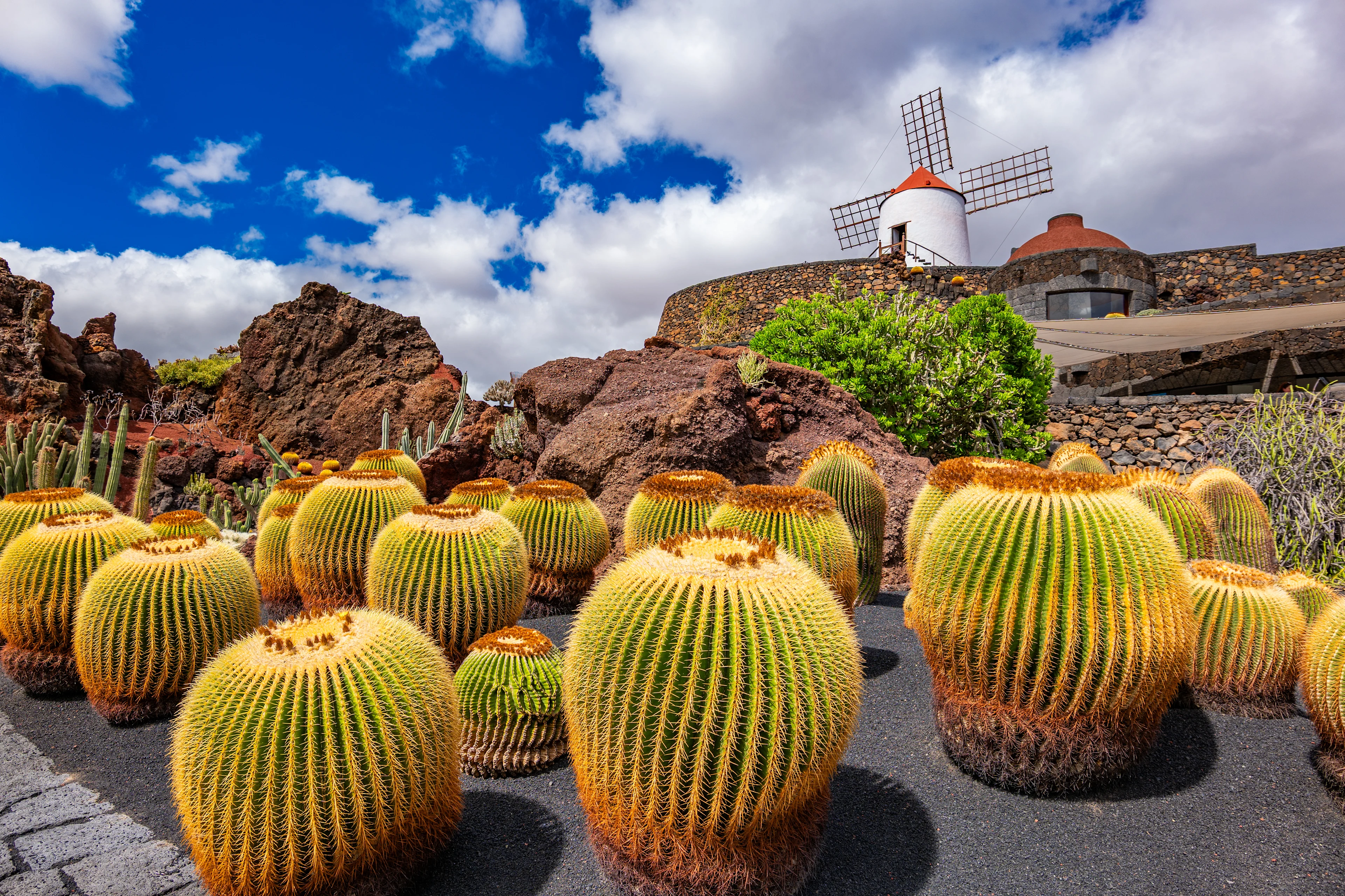 Kaktusträdgården Jardín de Cactus på Lanzarote med stora klotformade kaktusar