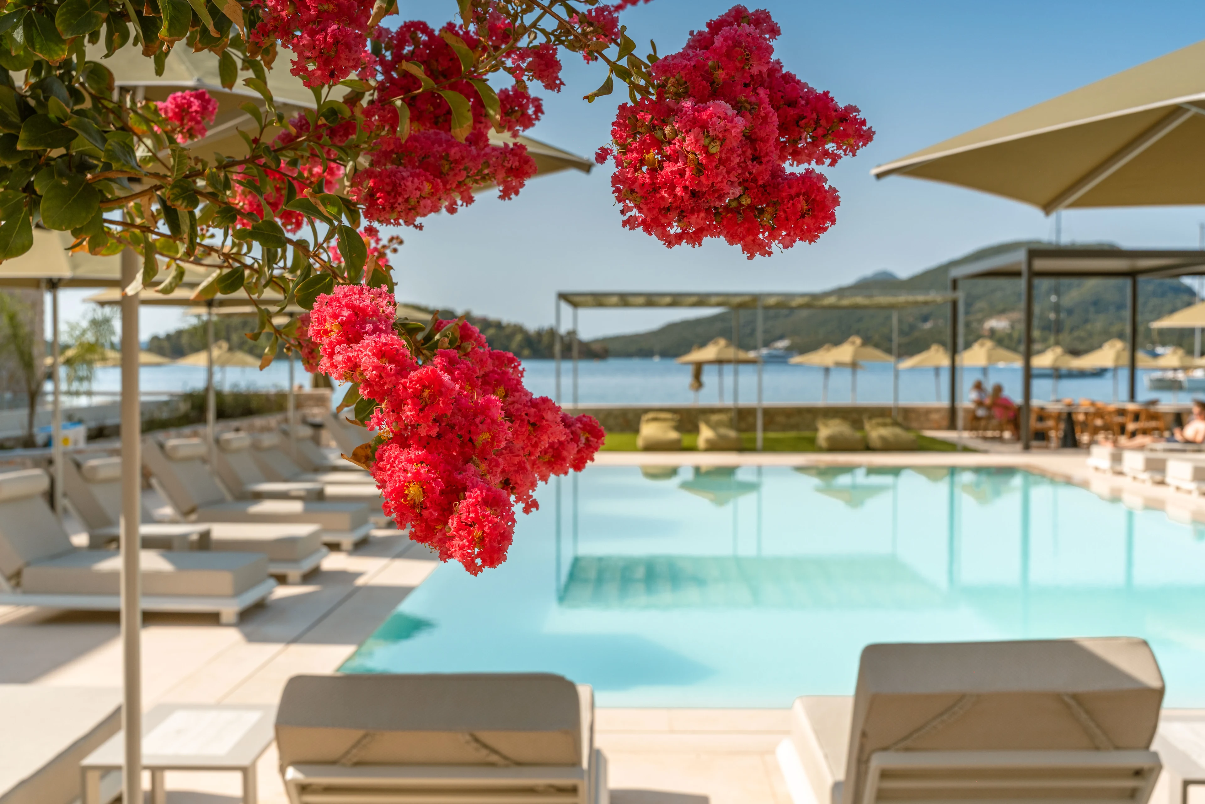 Hotellpool på Lefkas med blommande träd, solstolar och utsikt över havet.