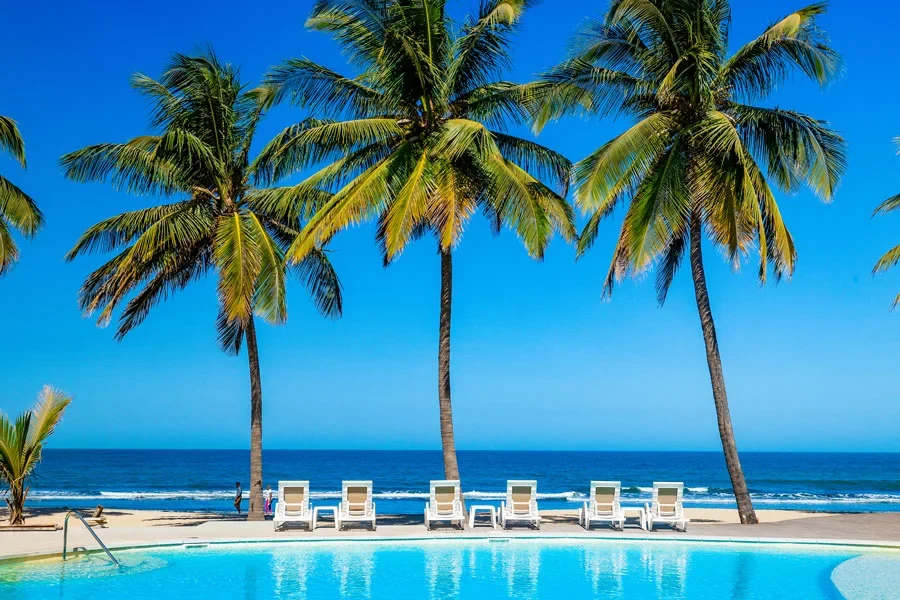 Pool, palmer, solstolar och utsikt över havet
