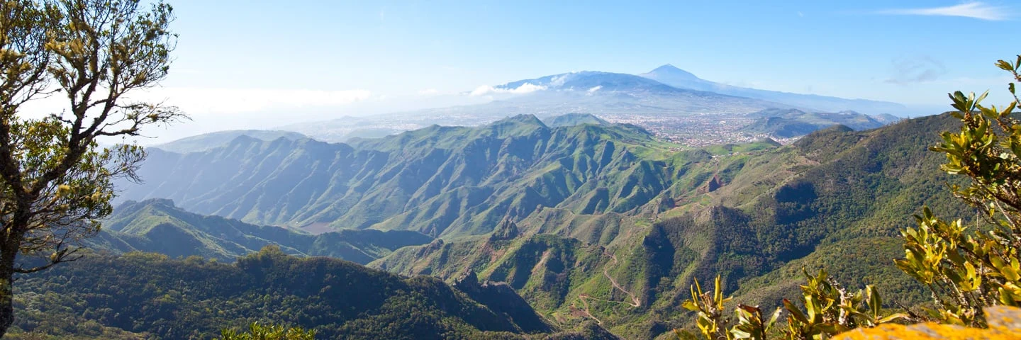 De natuur van Tenerife