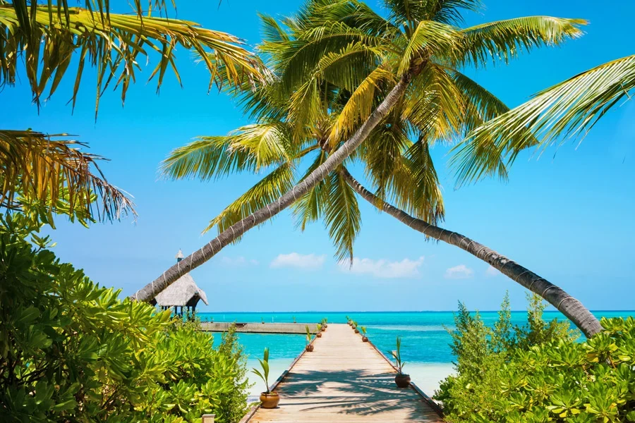 Maldivene
