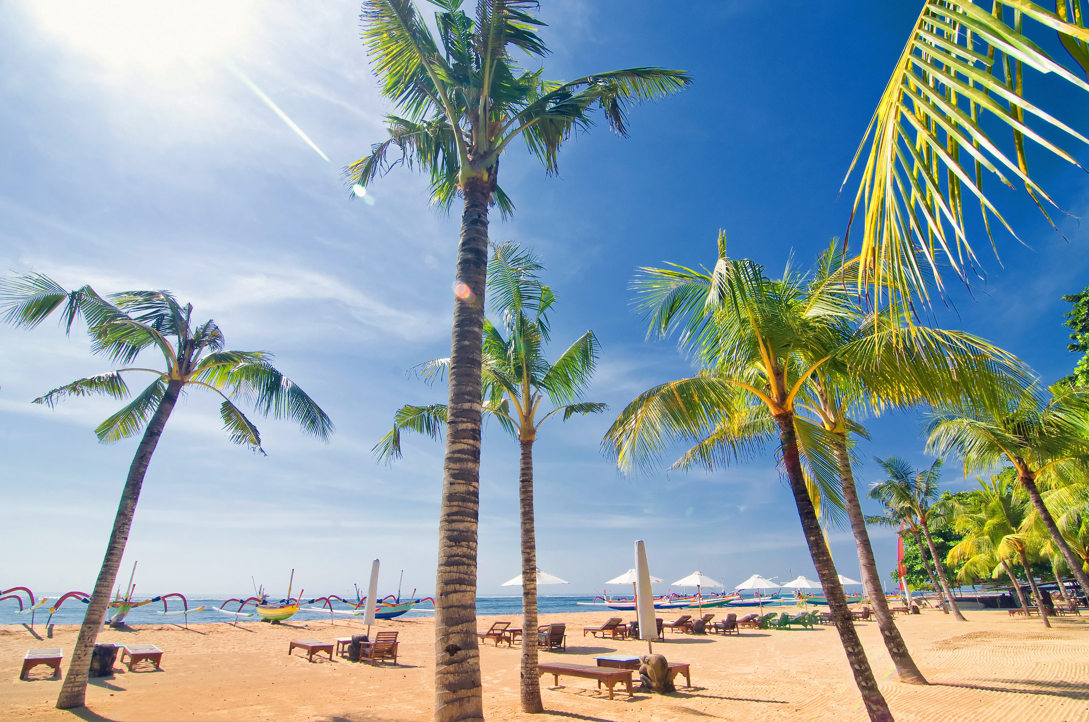 Solrik strand med palmer i Sanur, Bali