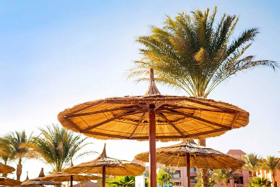parasoll och palm på stranden i Hurghada