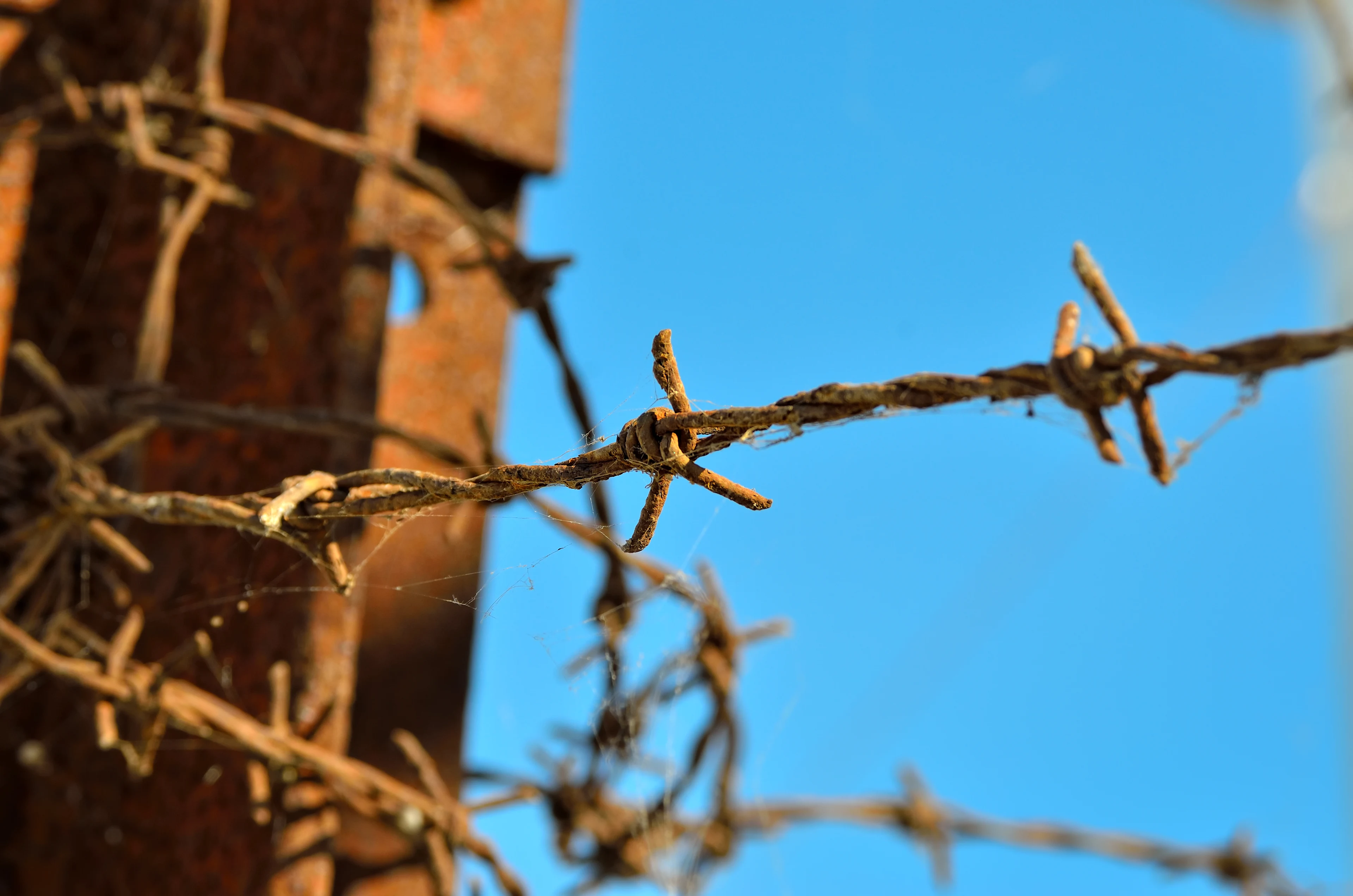 Taggtråd och rostig stängselstolpe vid Auschwitz-Birkenau, en av världens viktigaste minnesplatser över Förintelsen i Polen.