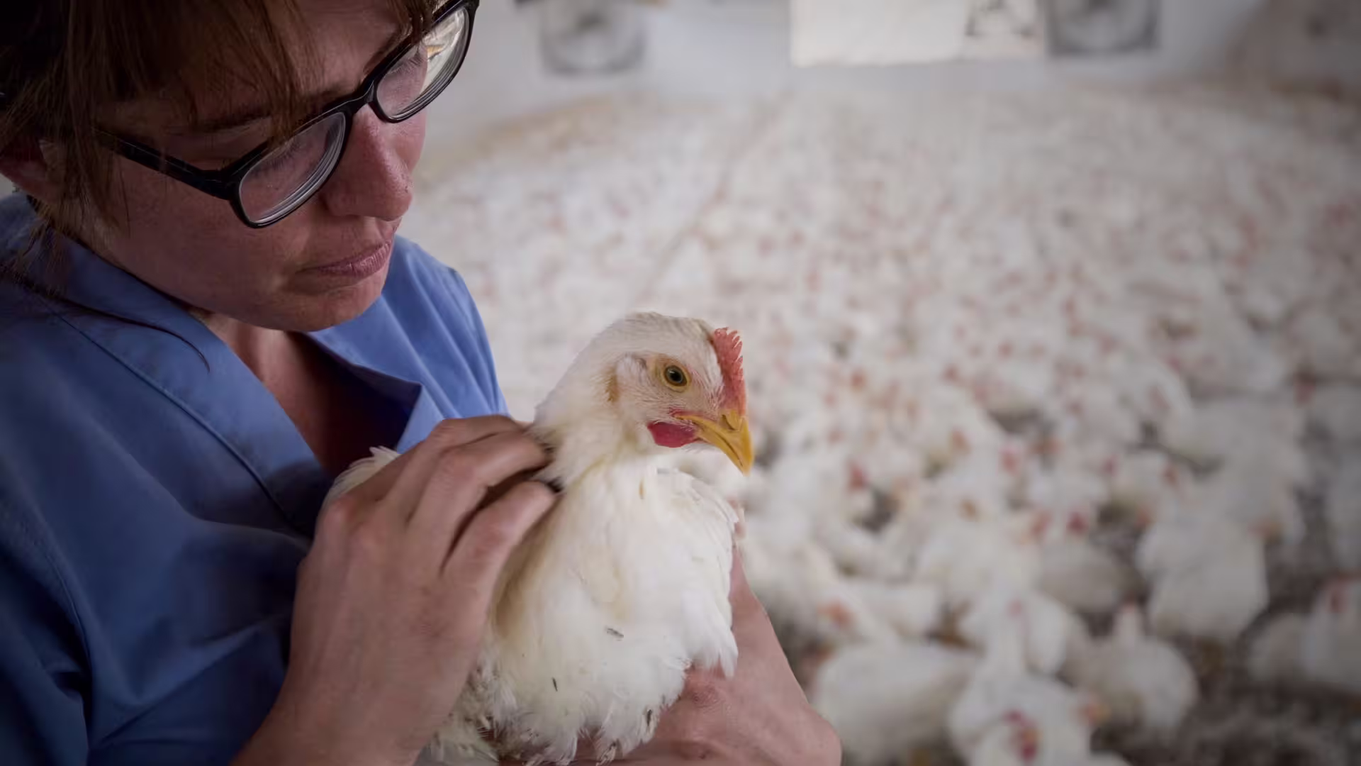 DulceRamirezInvestigator Thumbnail1