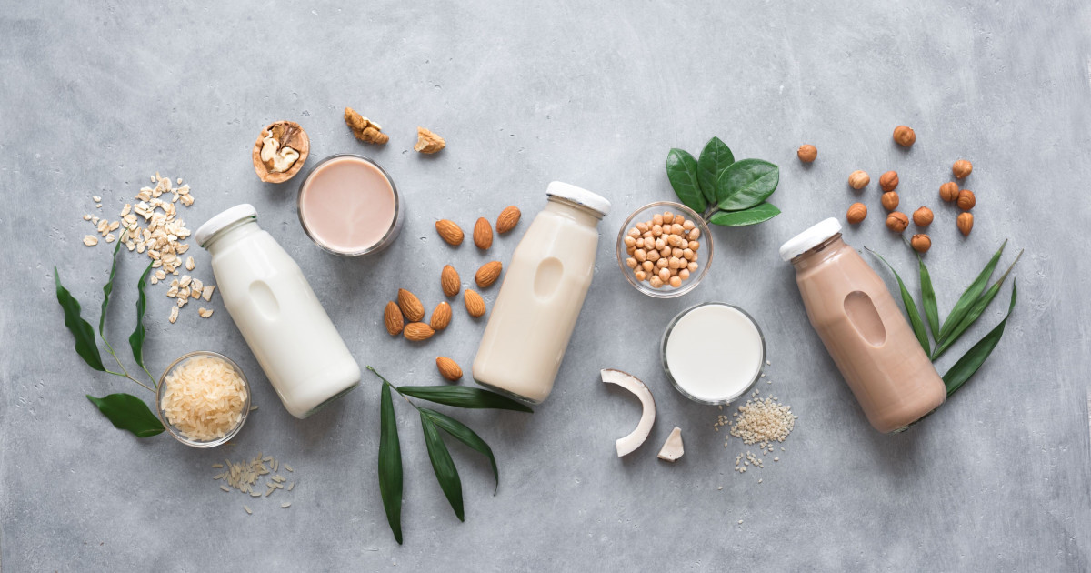 Cow Milk Alternatives, and Why You Should Stop Drinking Milk