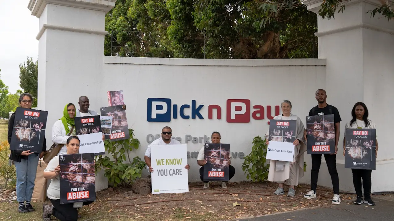 OWA Africa Summit Pick n Pay Protest