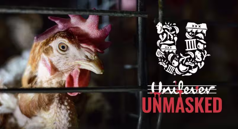 Unilever cruelty logo over hen right