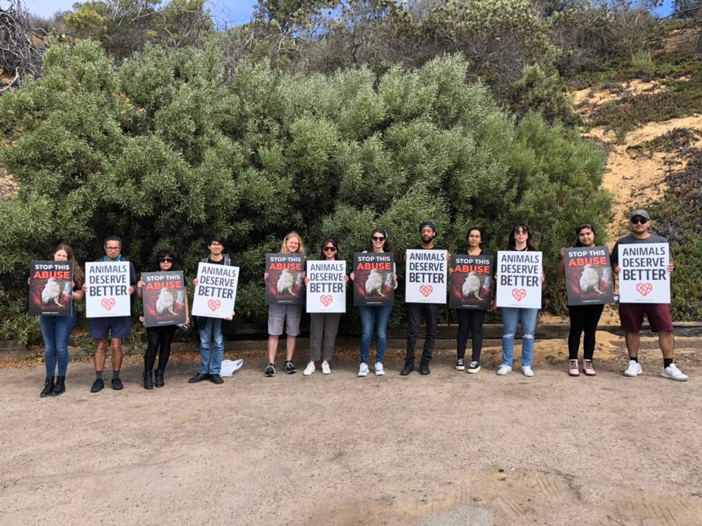 Activists stand in a long line, holding signs that read "Animals Deserve Better" and "Stop This Abuse."