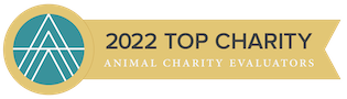 ACE 2022 Top Charity Badge