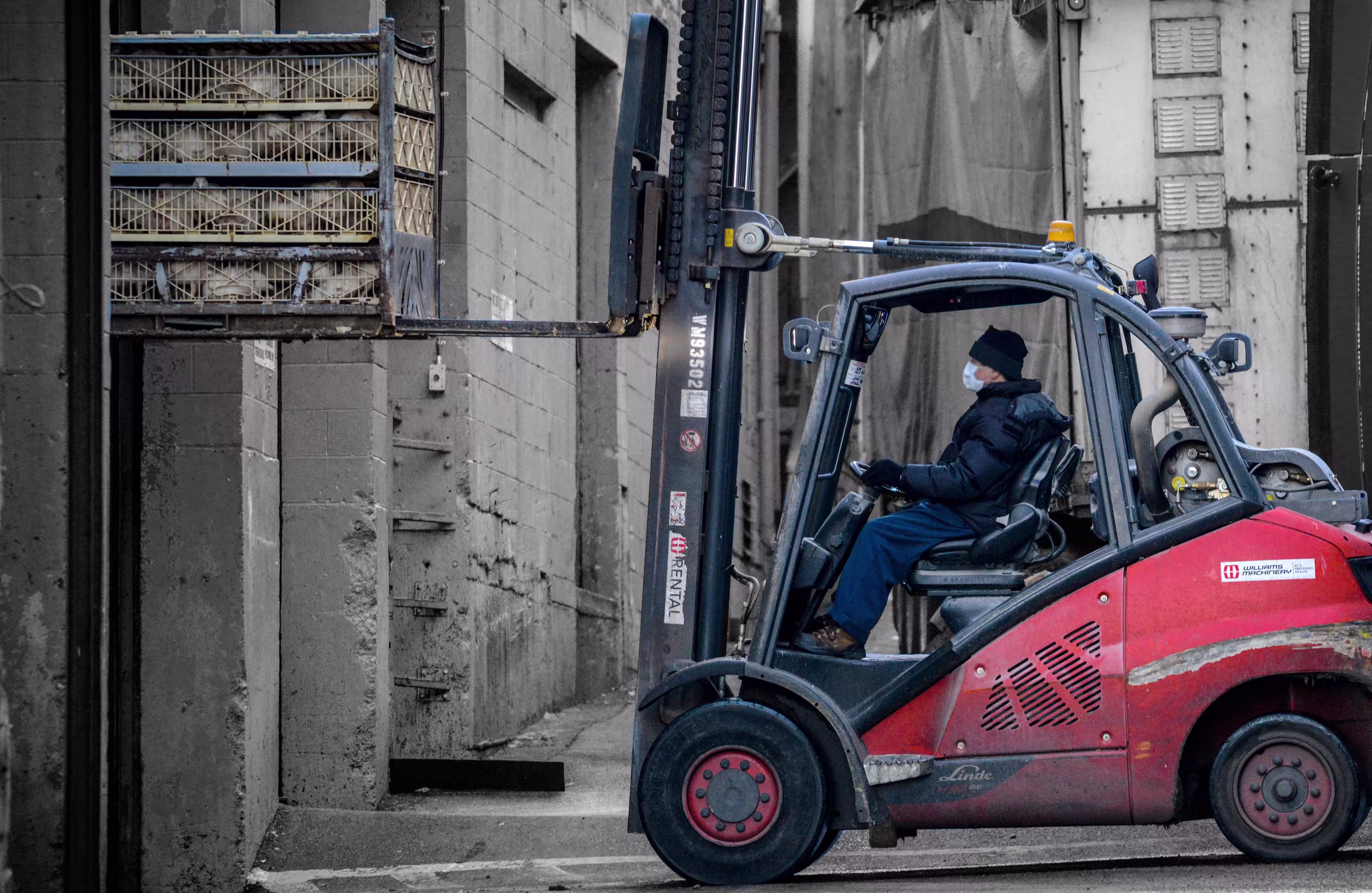 Chicken slaughterhouse factory farming workers by Joanne McArthur