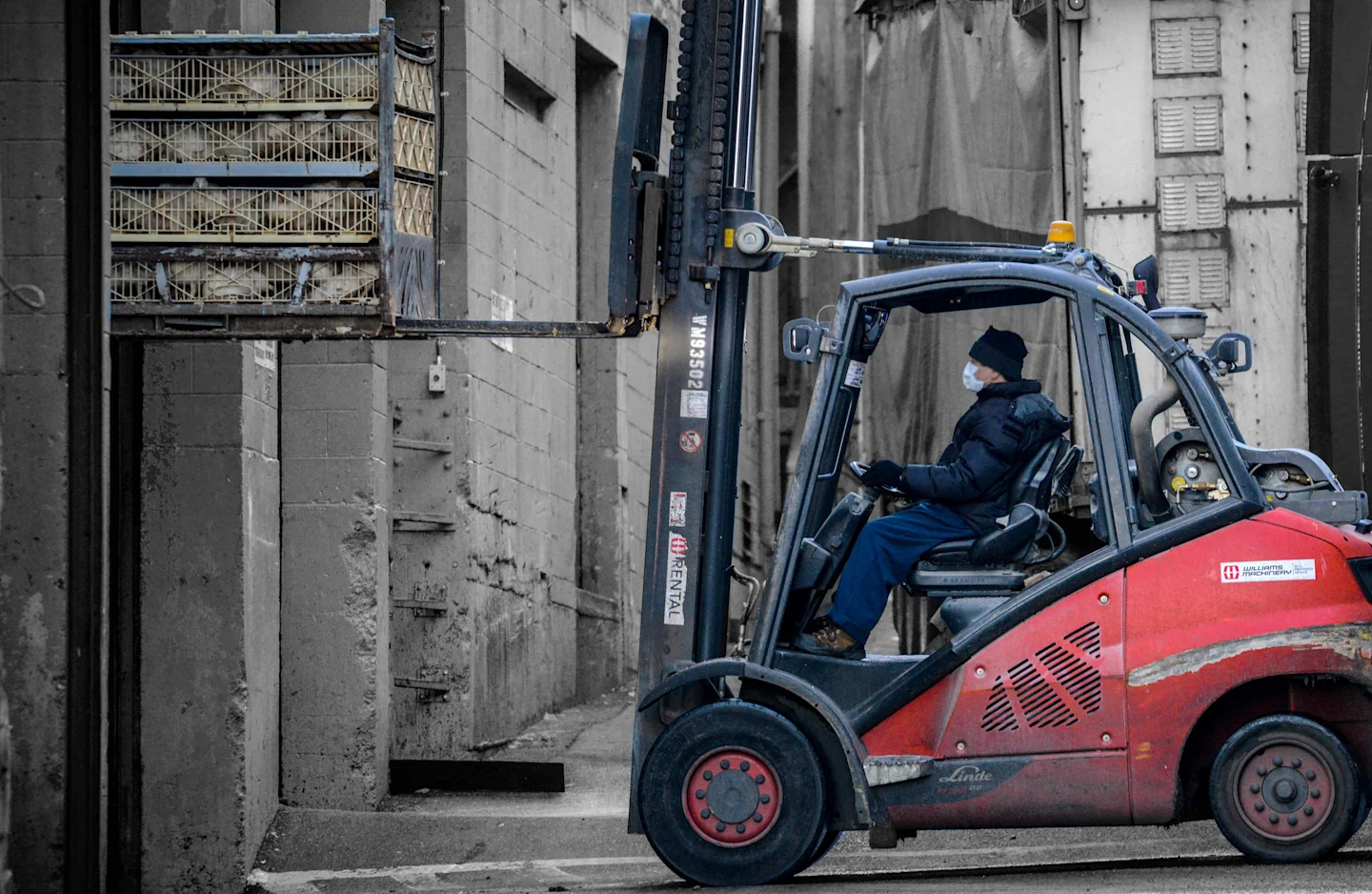 120+ Organizations Target Meatpacking Giant Tyson Foods for Failing to