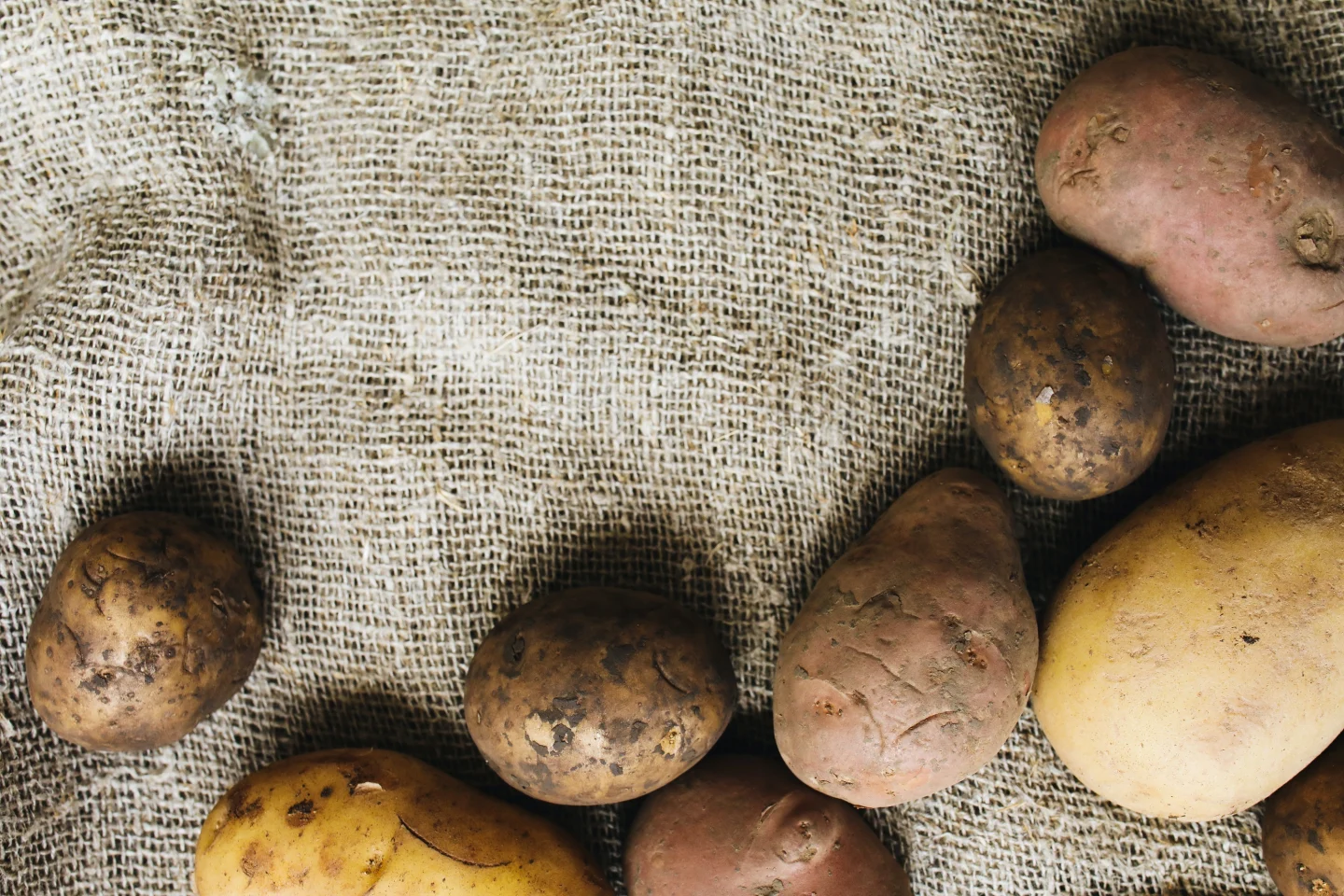 Potato sack steam фото 87