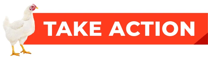 Take Action