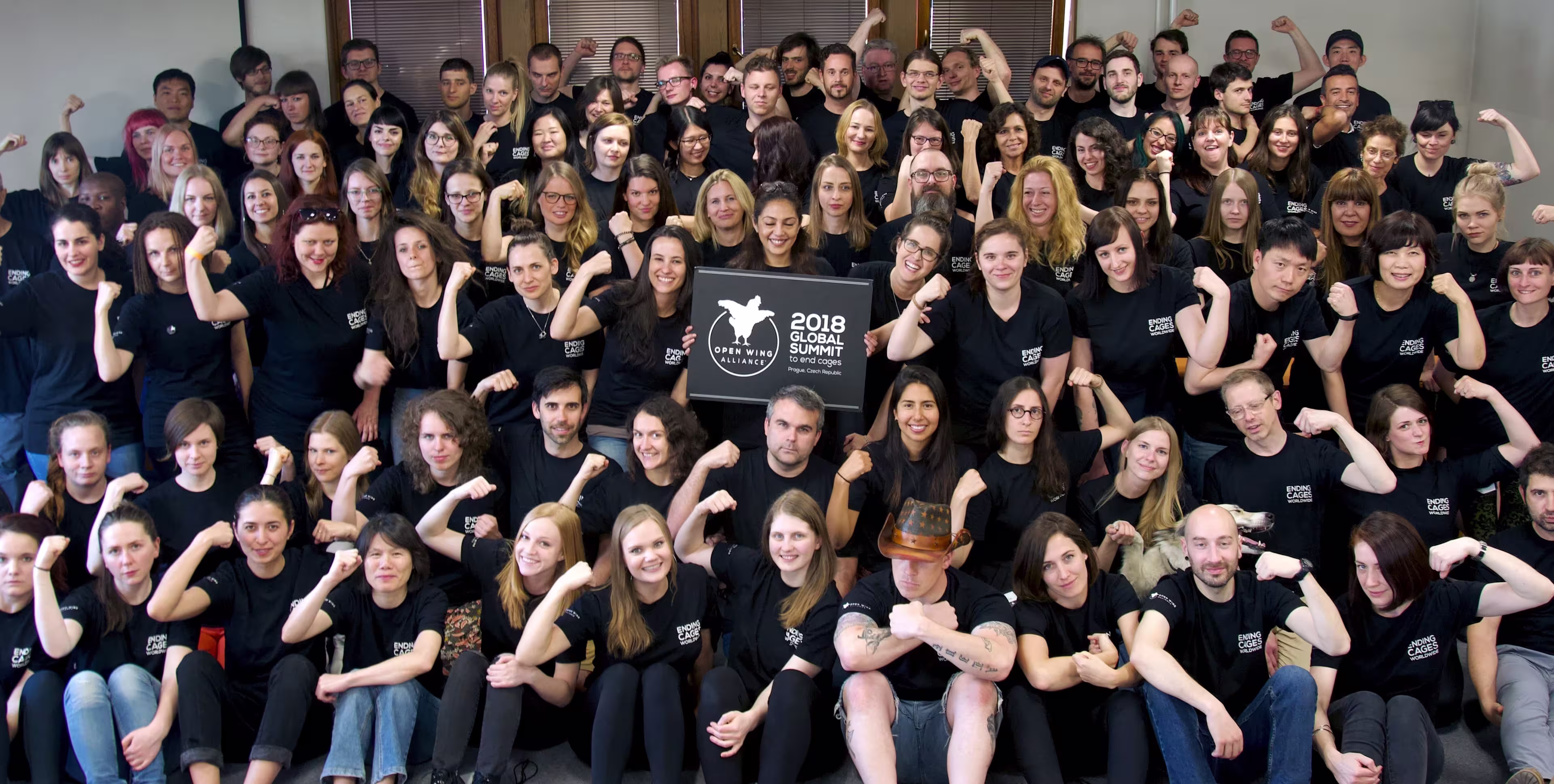 open-wing-alliance-global-summit-prague-2018-group-animal-rights