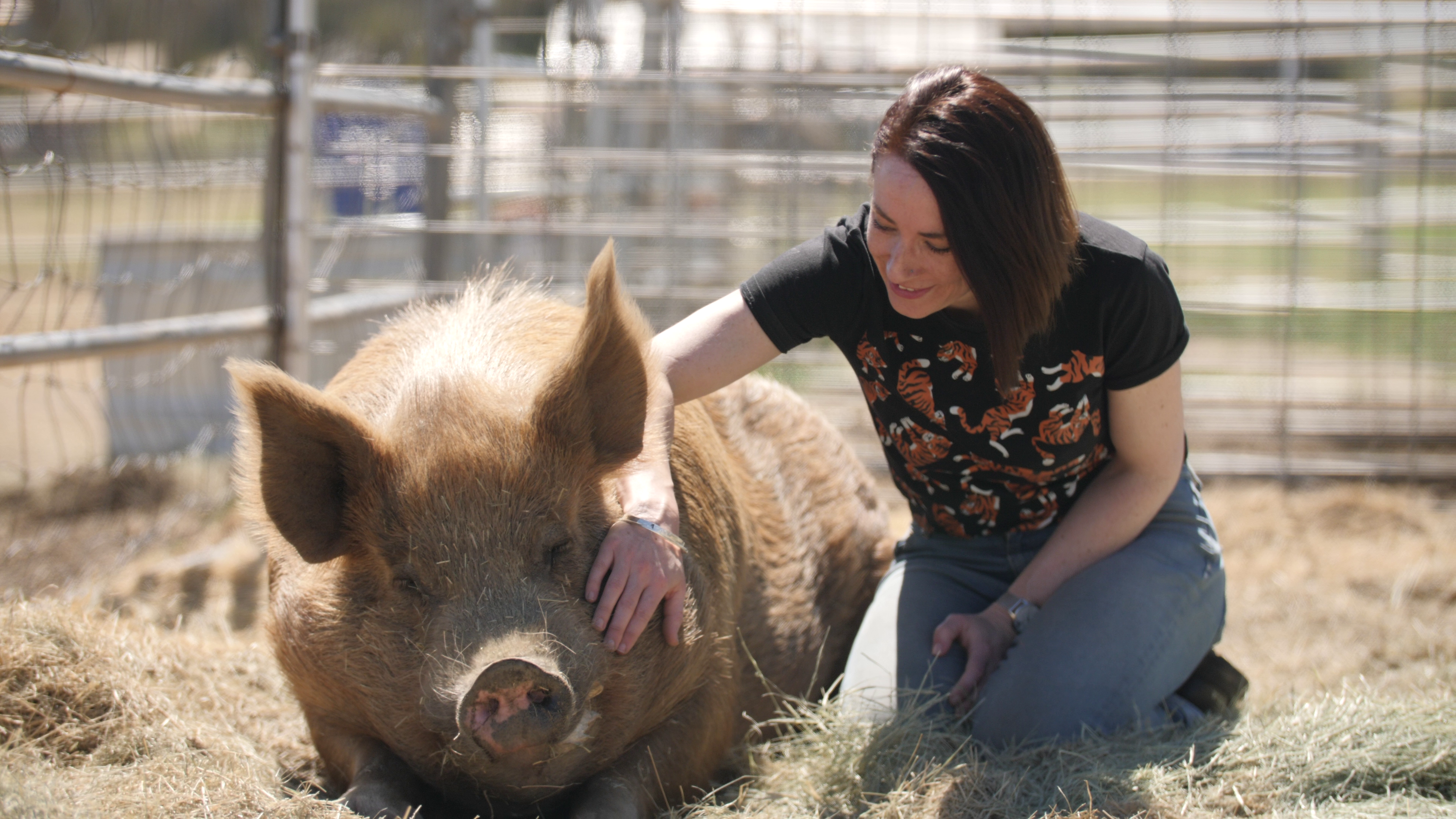 Vicky with pig