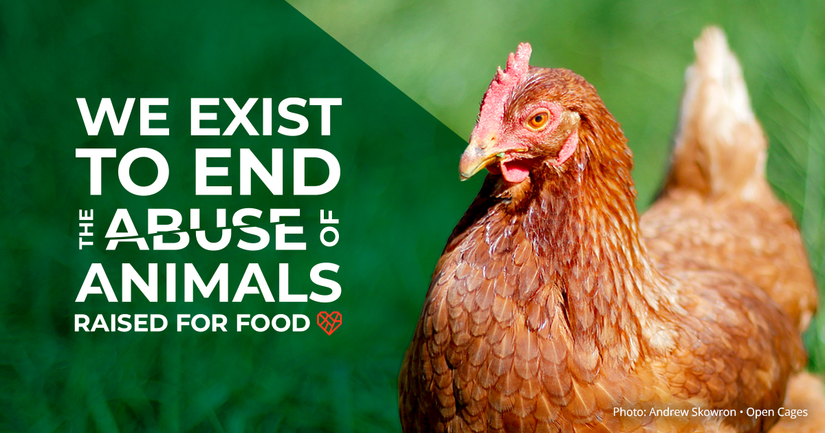 thehumaneleague.org.uk logo