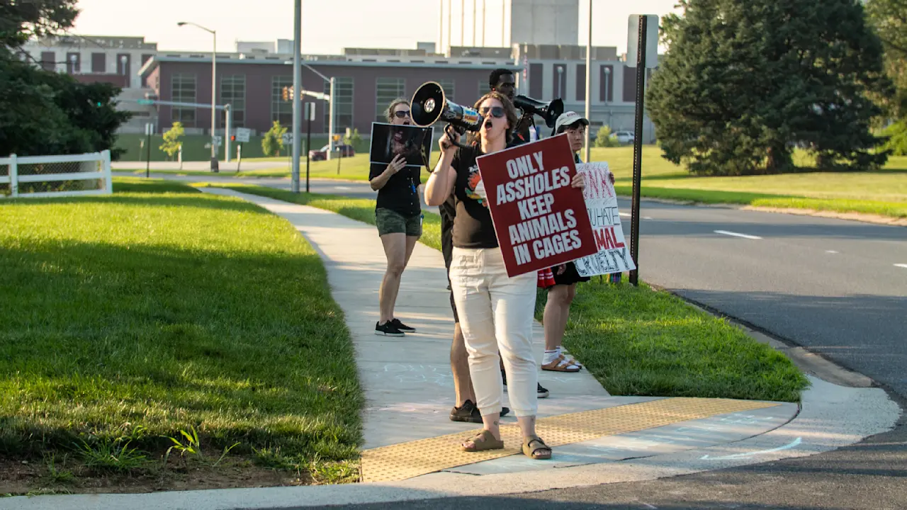 National A-Hole Day Protest