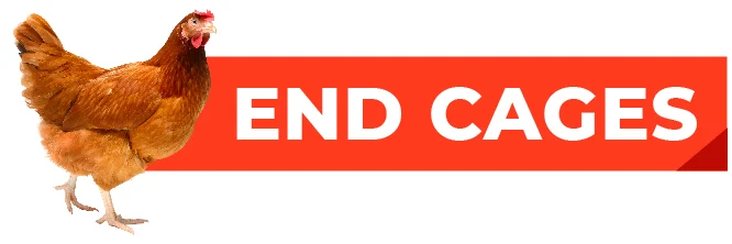 End Cages